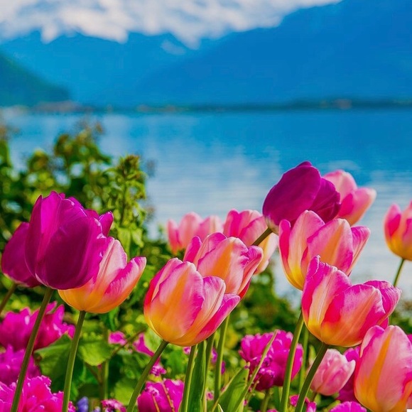 Meet your Posher, Kirstie - Picture 1 of 1